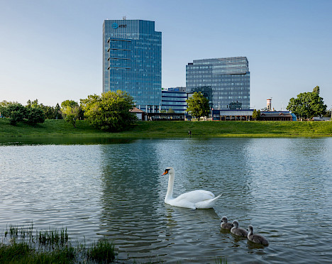 Lakeside Park 01