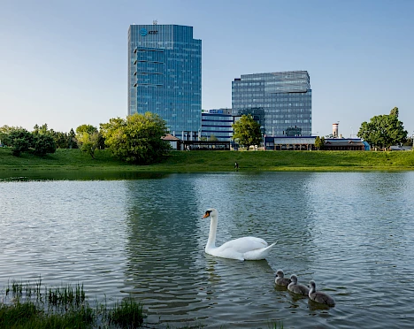 Lakeside Park 01